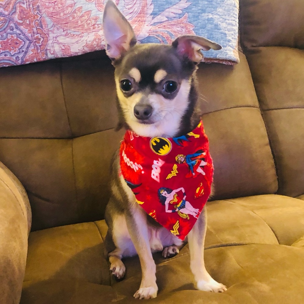 Meet your Posher, Anais